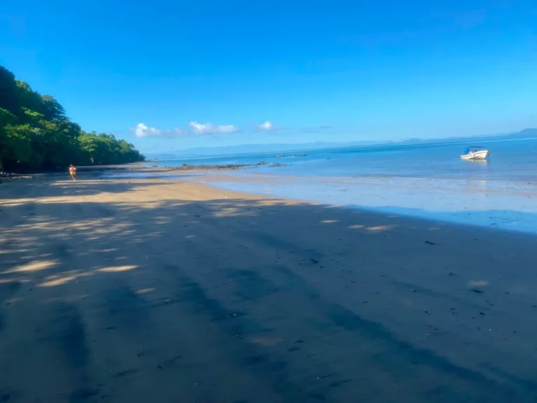 Accès direct à la plage depuis le terrain