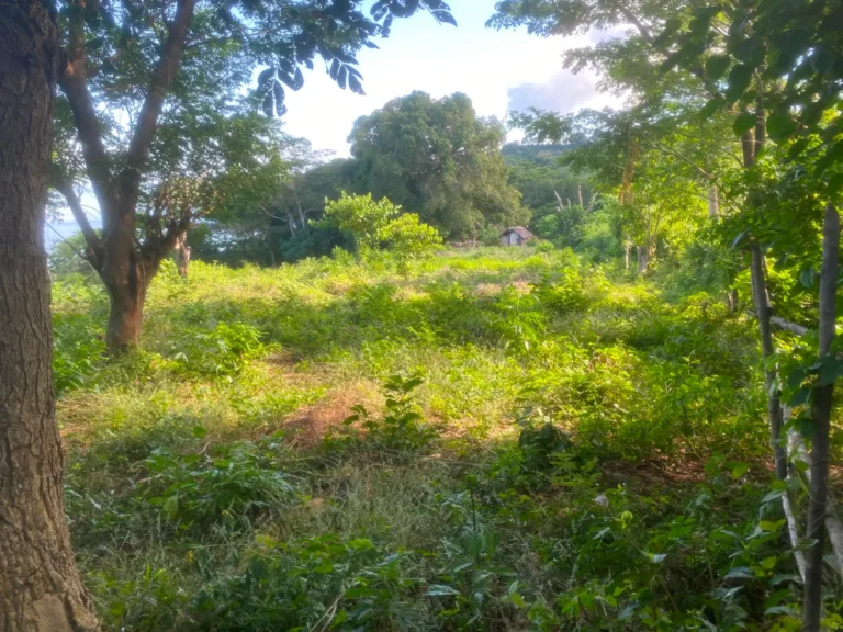 Parcelle constructible à Ampilahoa
