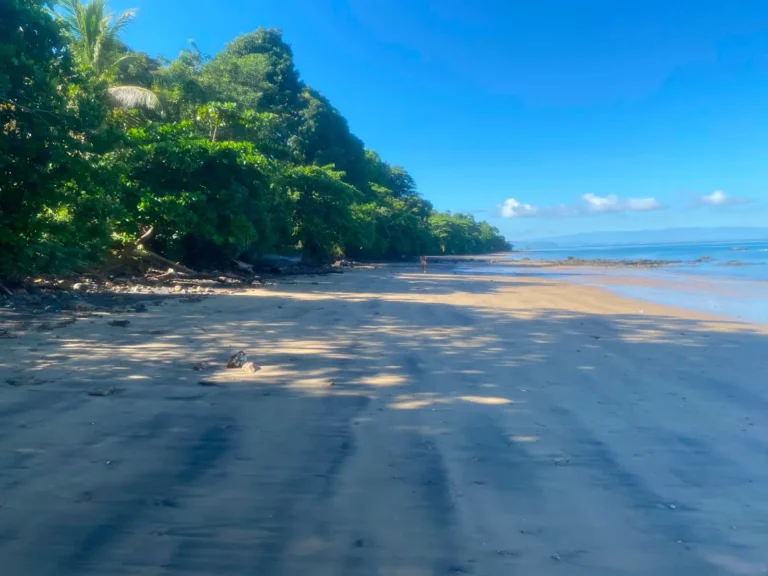 Plage naturelle au bord du terrain à Ampilahoa