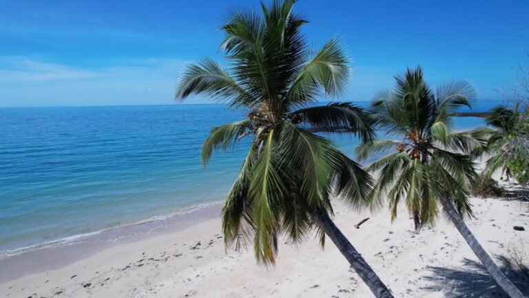 plage-nosy-faly-palmiers-bord-de-mer