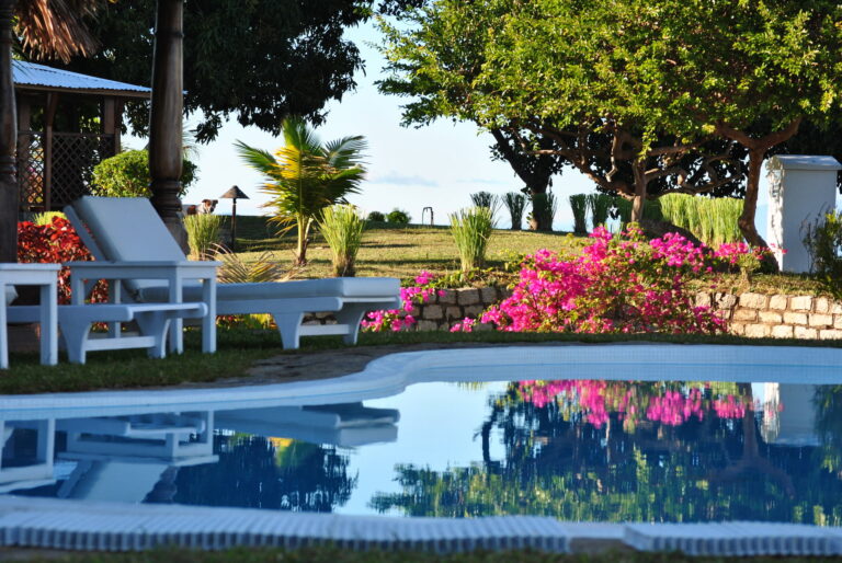 Piscine et jardin tropical – Villa Soleil